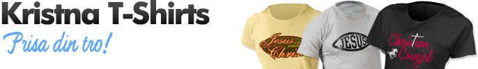 Dom finaste t-shirts som du kan hitta på webben